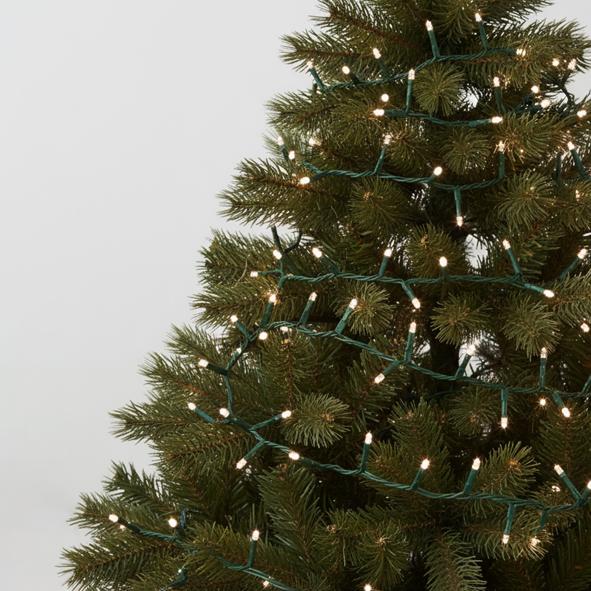 Guirlande lumineuse blanche sur un sapin de Noël verdoyant