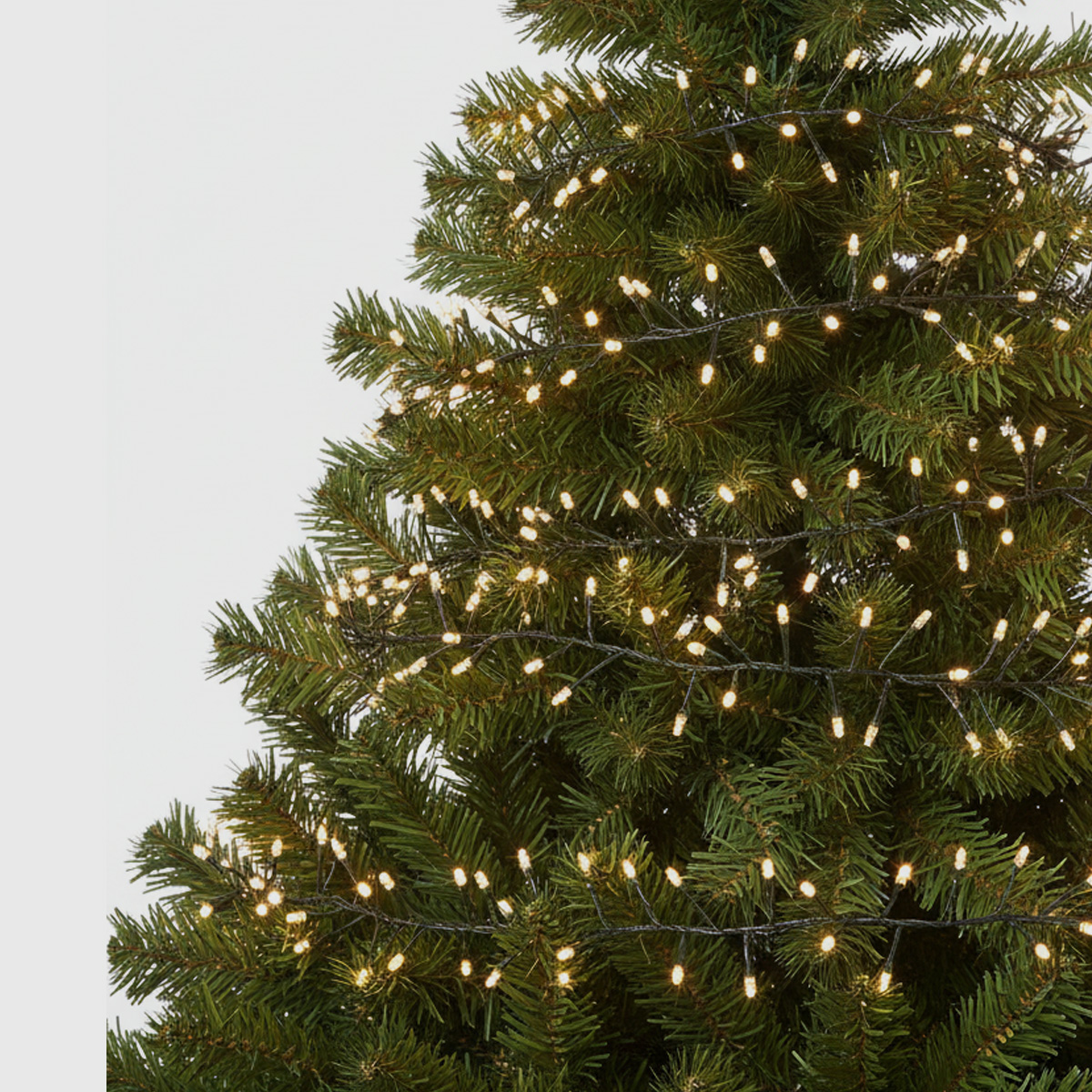 String lights on a green Christmas tree