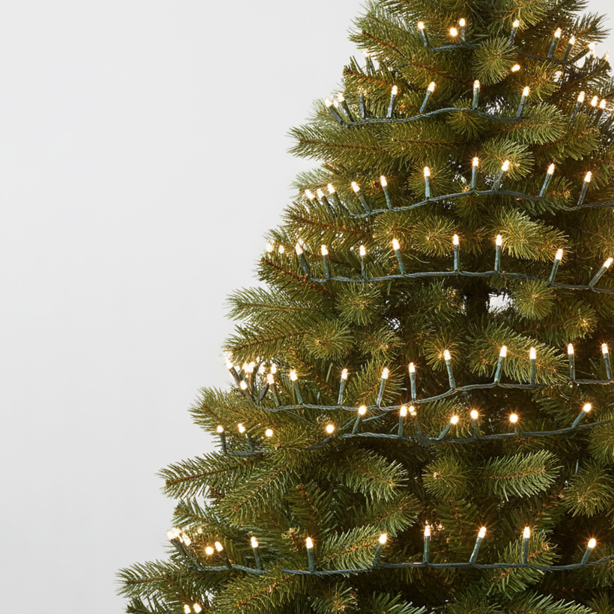 Guirlande lumineuse sur un sapin de Noël vert