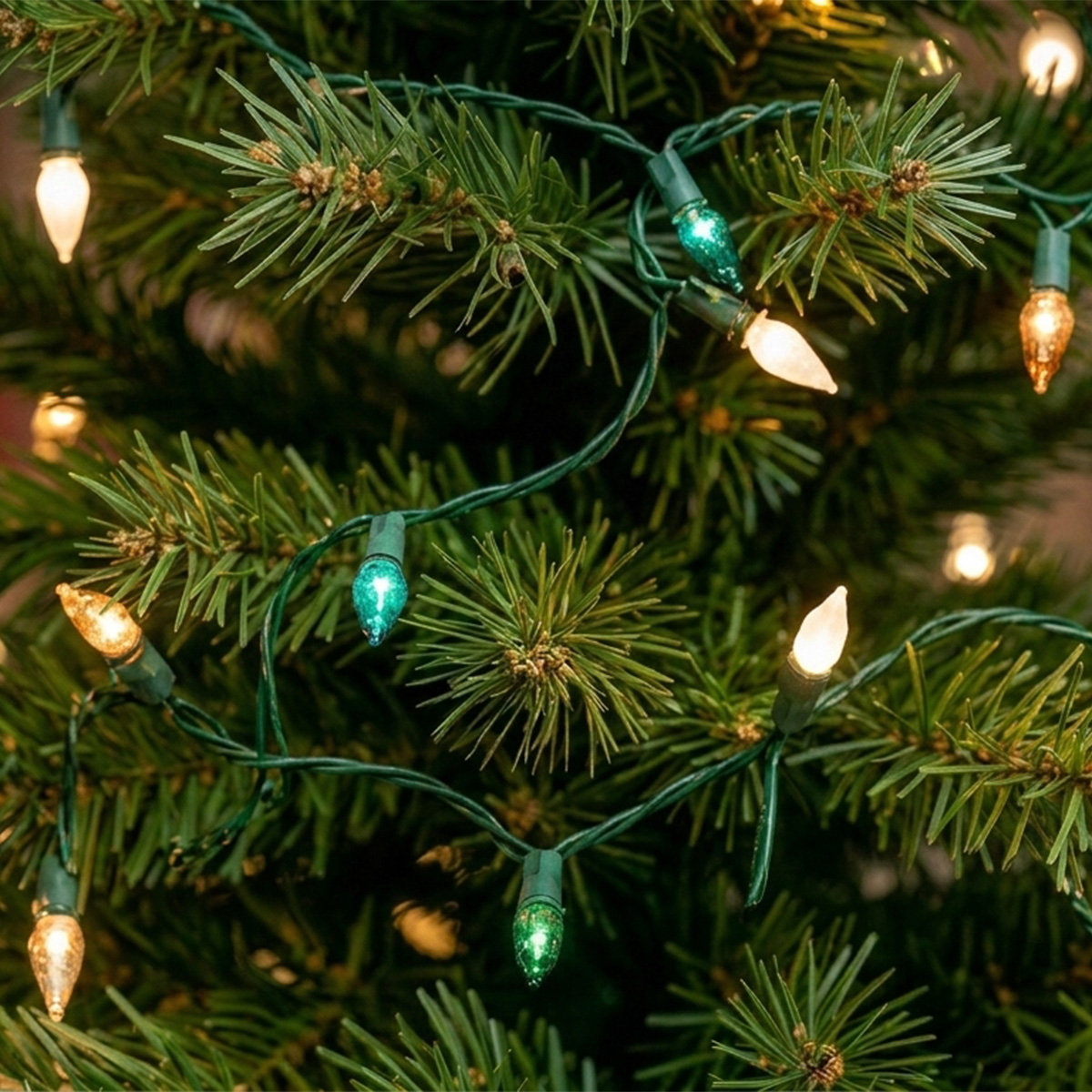 Guirlande lumineuse de Noël sur un sapin vert