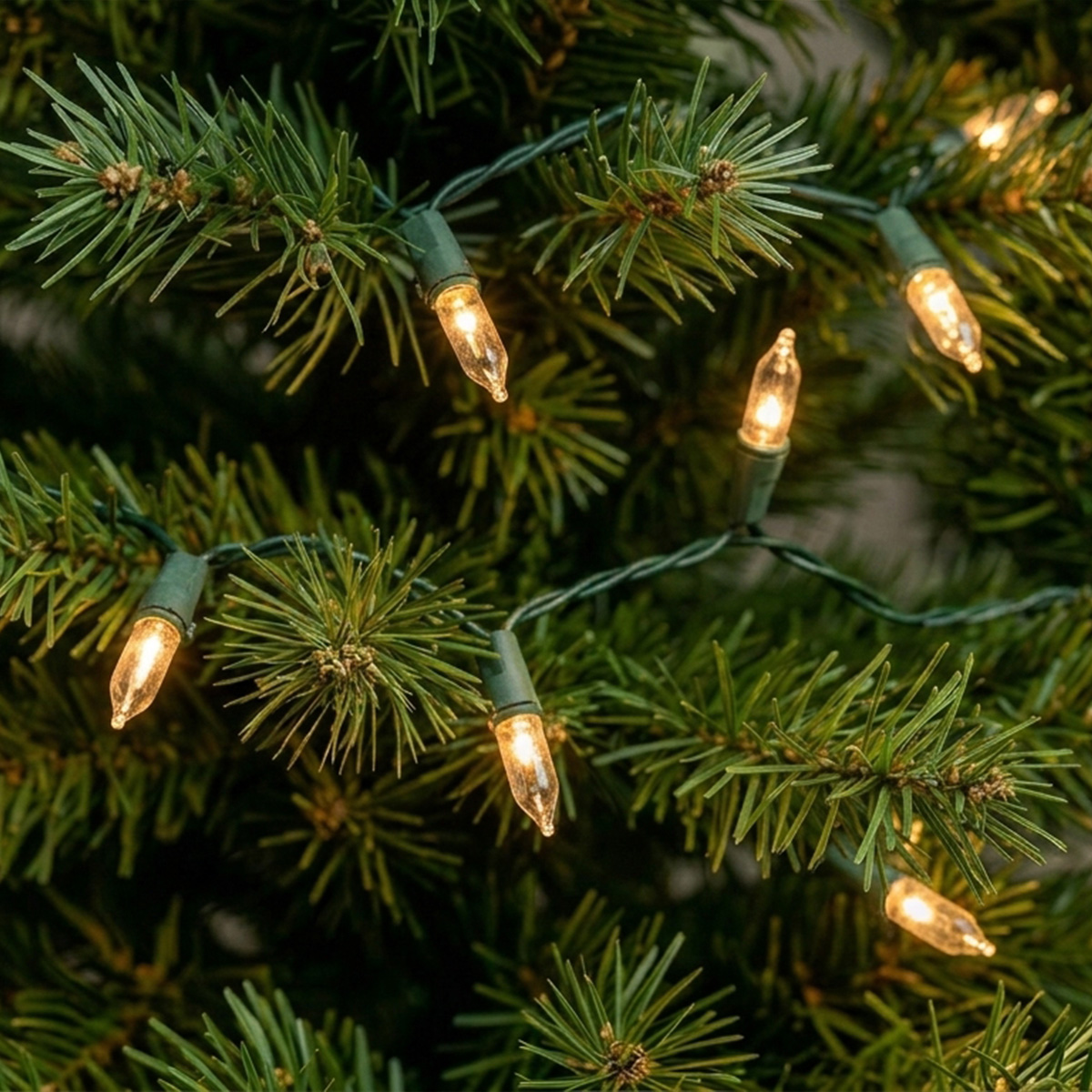 Guirlande lumineuse sur un sapin de Noël