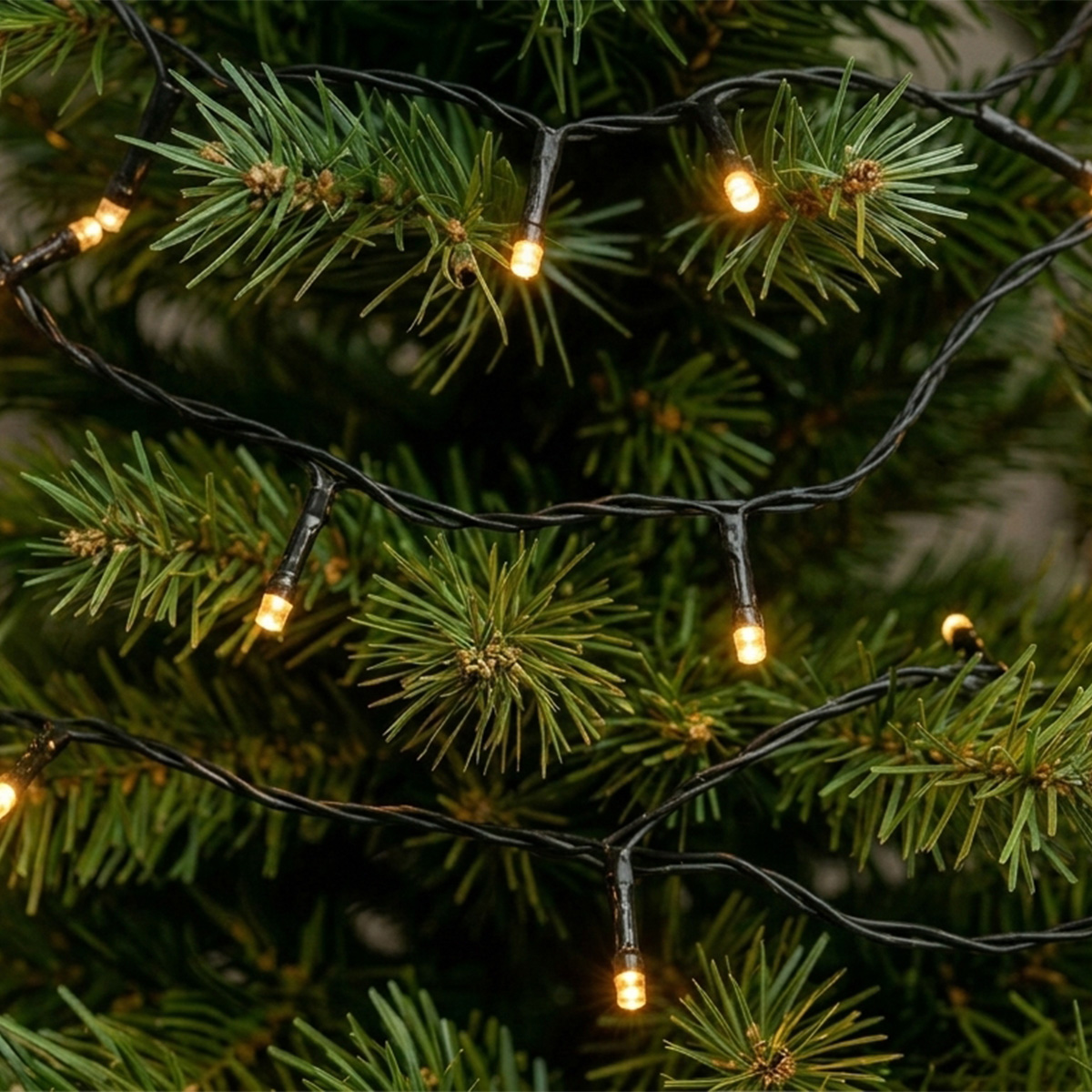 Guirlande lumineuse sur un sapin de Noël