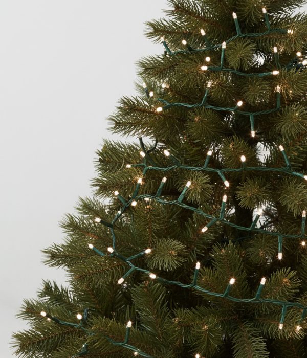 Lot De 60 Ventouses Transparentes 25 Mm - Pour Guirlandes Lumineuses, Décorations - Fixation Sans Perçage Sur Surfaces Lisses